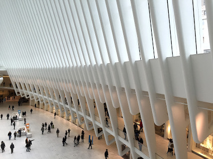 The Oculus
