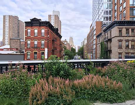 ハイラインから東を望む