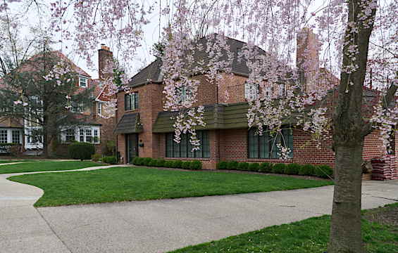 Continental AveからOlive Placeに入ったところ