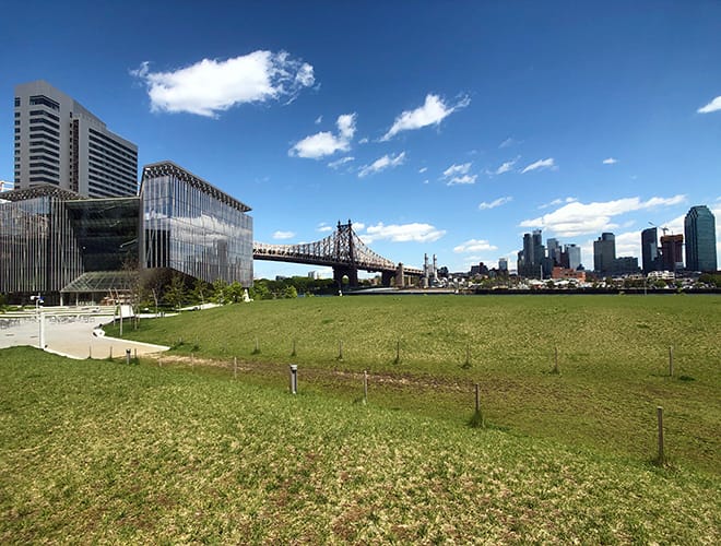 Cornell Techのキャンパス付近から。川の向こうはロングアイランドシティの高層ビル。