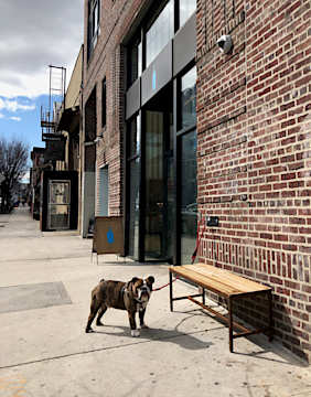 Blue Bottle Coffee. Bedford Ave